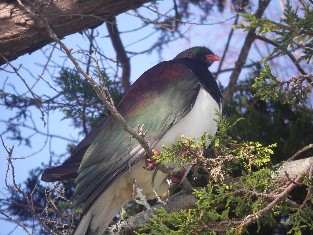 Harbourside Holiday Park Whitianga Bagian luar foto